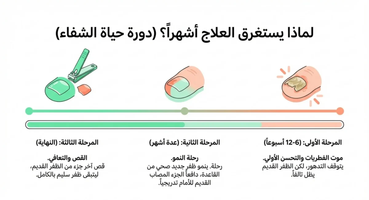 فطريات الأظافر 08